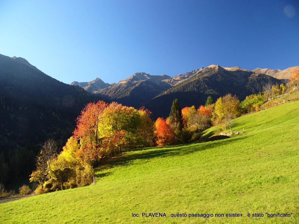 Alpen Garten Hotel Margherita Rumo Exteriér fotografie